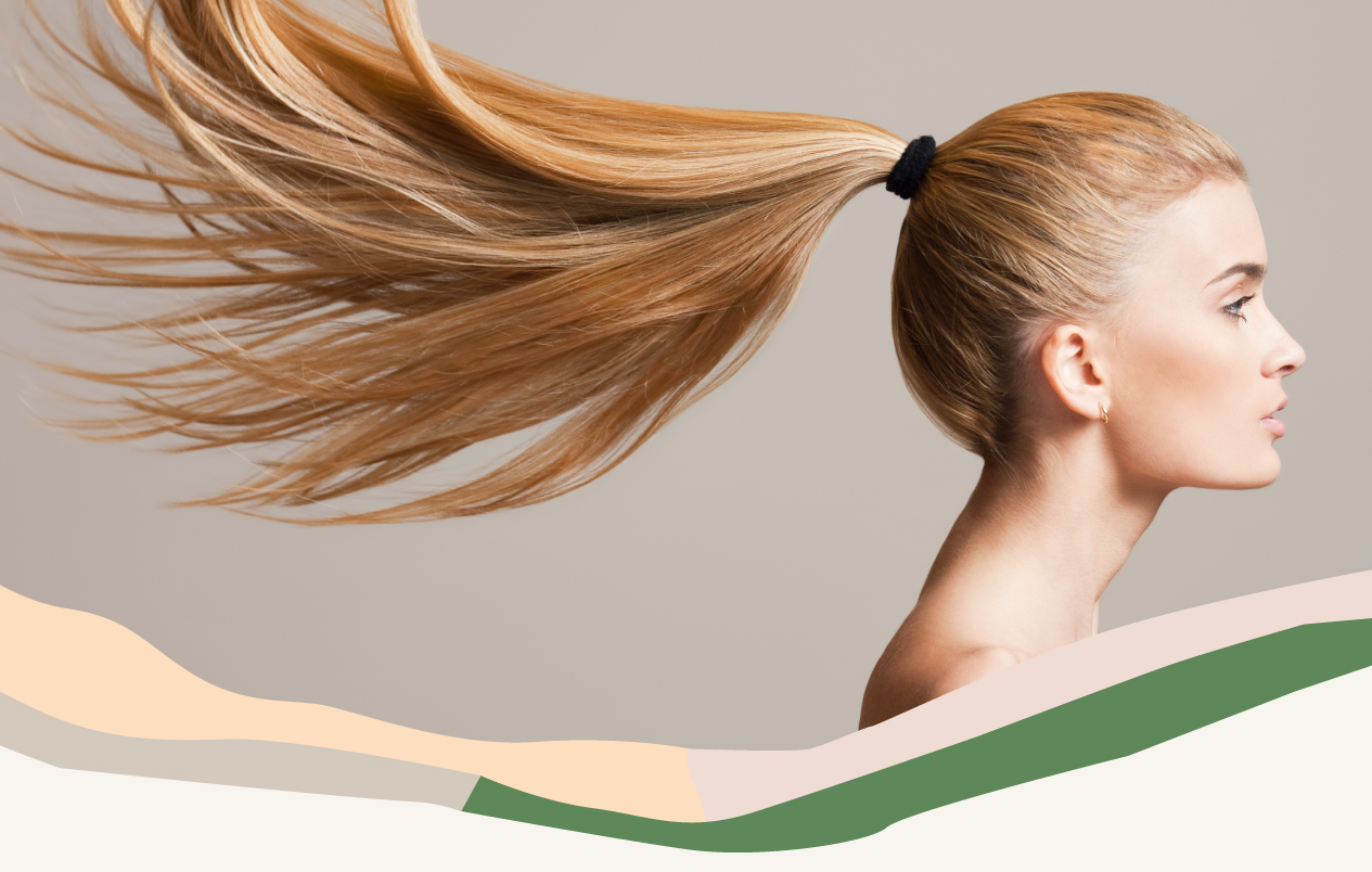 ponytail-S